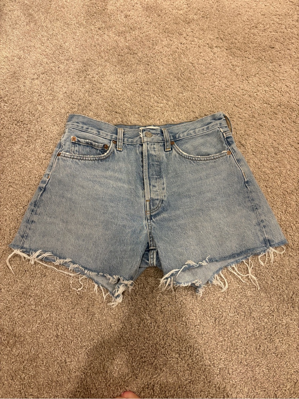Agolde Parker Shorts